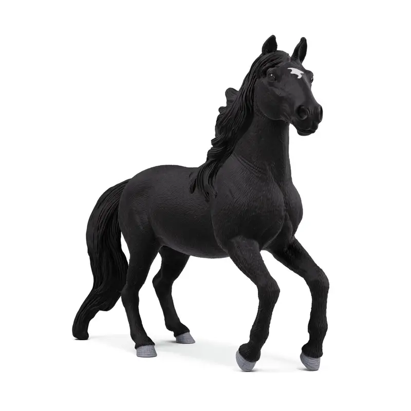 Lusitano Stallion 1