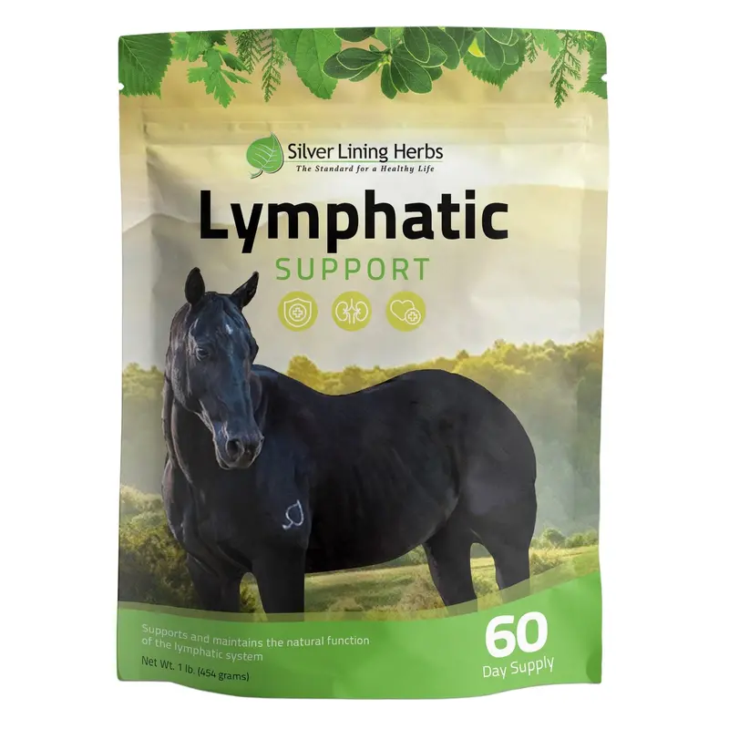 Lymphatic Support For Horses 1