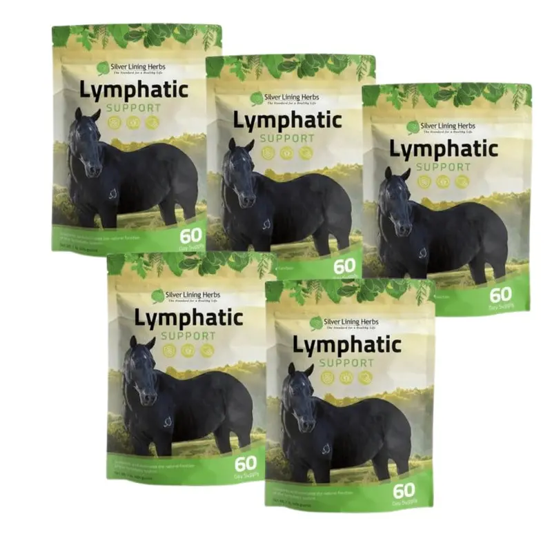 Lymphatic Support For Horses 2