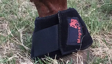 Magnacu Bell Boots 2