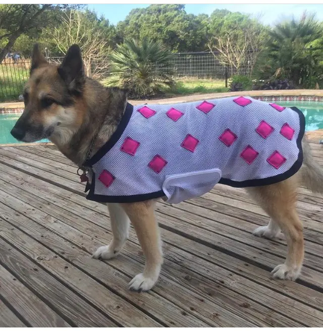 Magnacu Dog Blanket - In Stock! 1