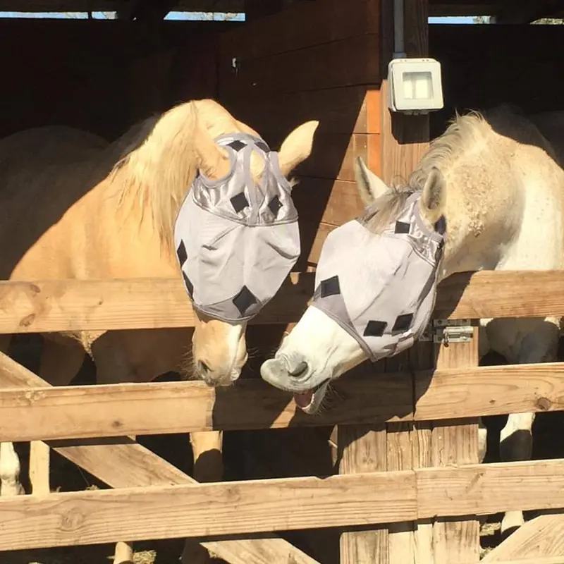 Magnacu Fly Masks - Custom Order Here! 1