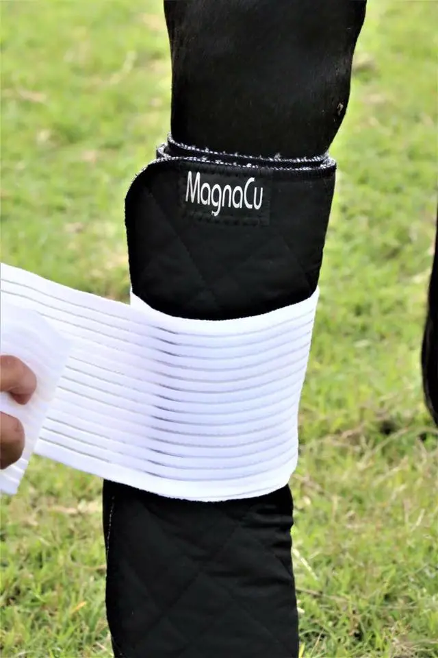Magnacu Tendon Wraps 1