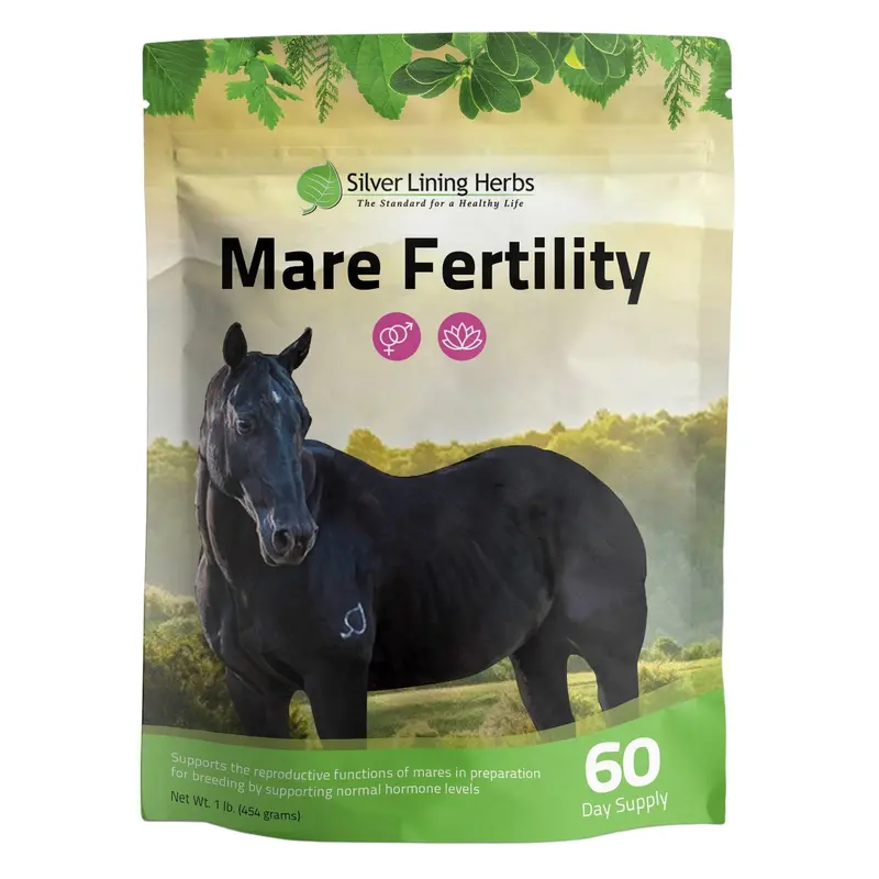 Mare Fertility For Horses 1