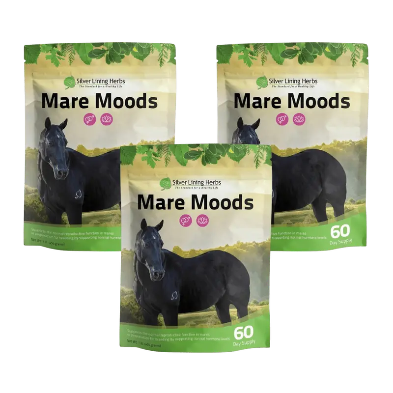 Mare Moods For Horses 2