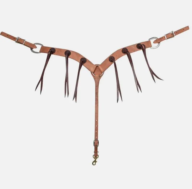 Martin 2" Harness With Rosettes And Strings 1