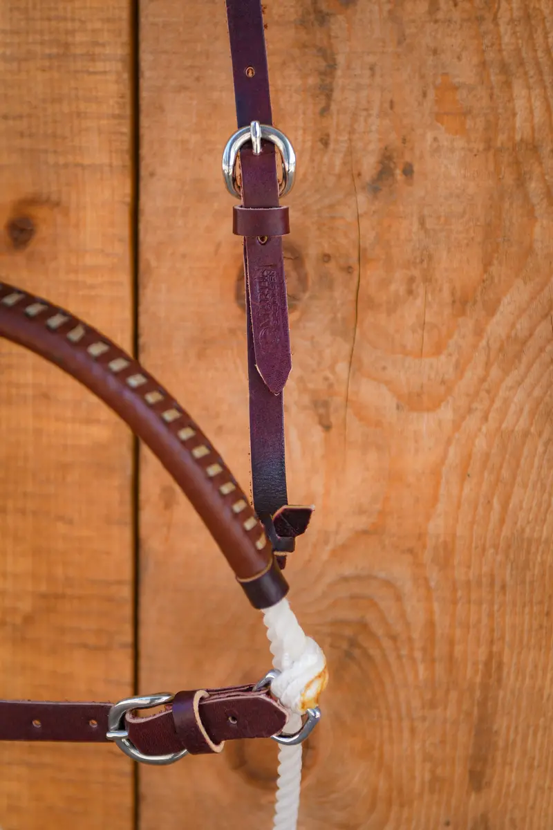 Martin Double Rope Leather Cover Cavesson Noseband 2
