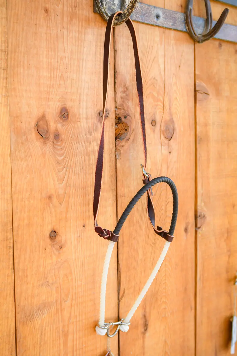 Martin Leather Shrink Wrap Covered Single Rope Noseband 1