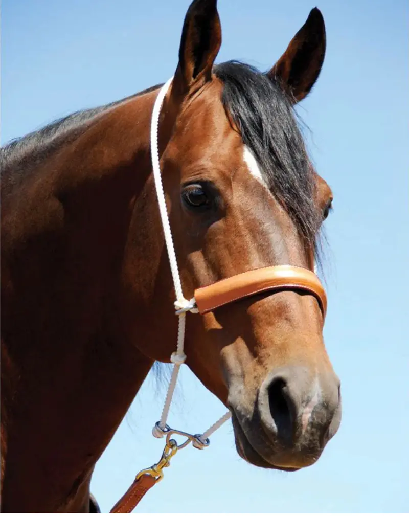 Martin Rope Headsetter With Leather Cover 1