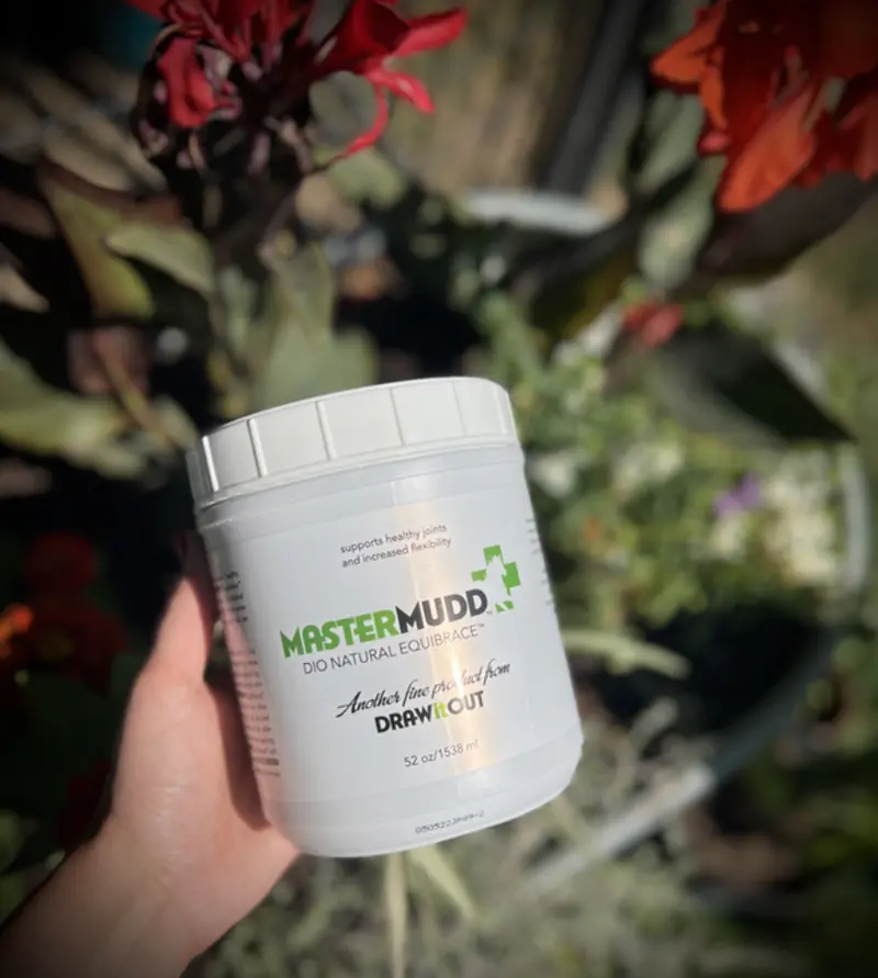 Master Mudd Equibrace By Draw It Out 1