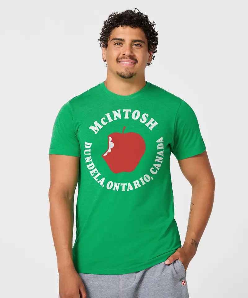 Mcintosh Apple Dundela, Ontario, Canada 3