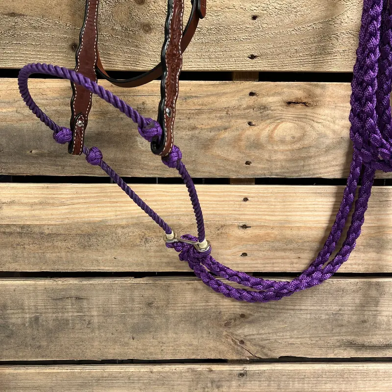 Medium Oil Floral Scalloped Purple Loping Hackamore #Lhk022 2