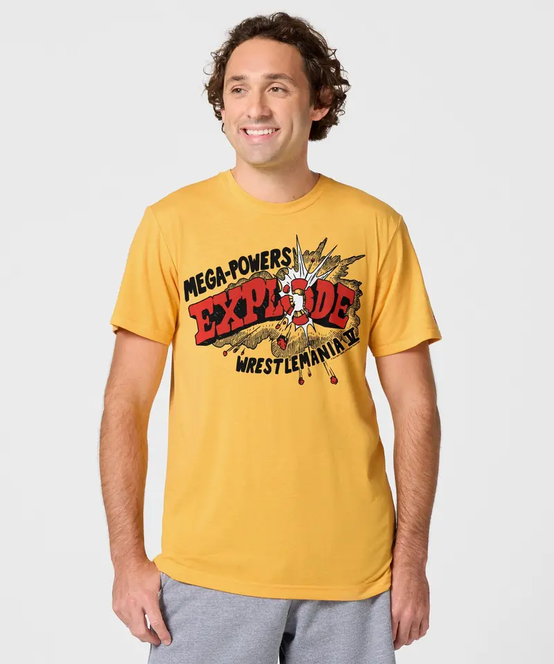 Mega-Powers Explode 3