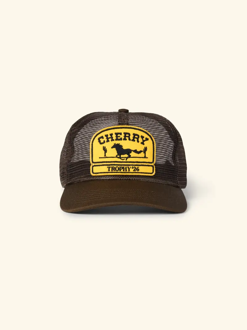 Mesh 5 Panel Trucker (Brown) 1