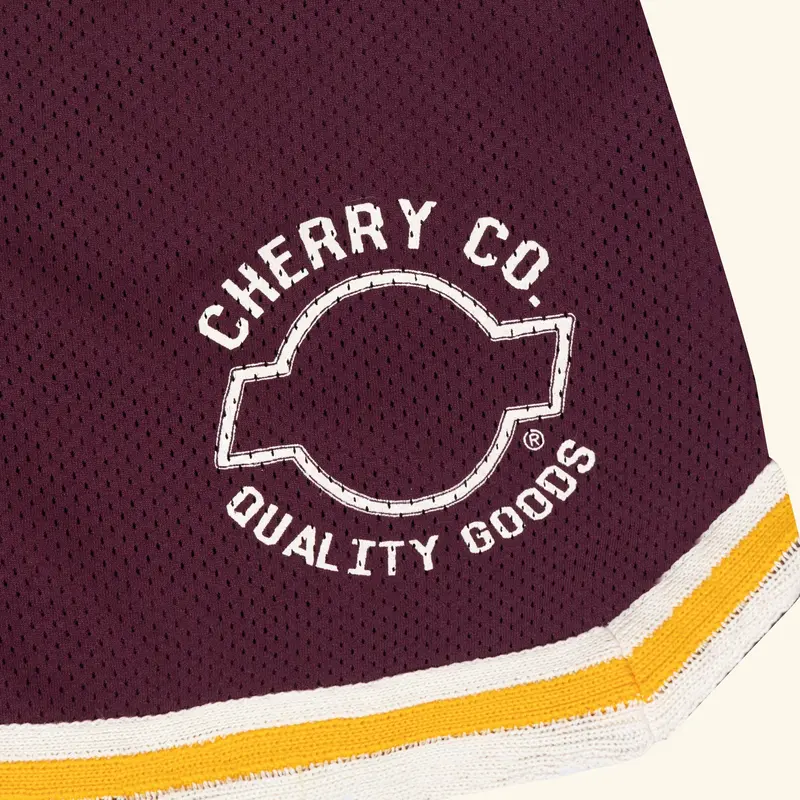 Mesh B-Ball Shorts (Maroon) 2