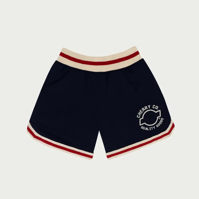 Mesh B-Ball Shorts (Navy Blue) 1