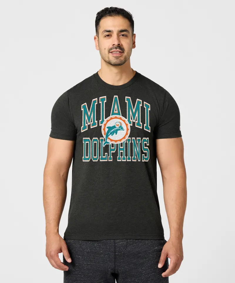 Miami Dolphins Arch 3