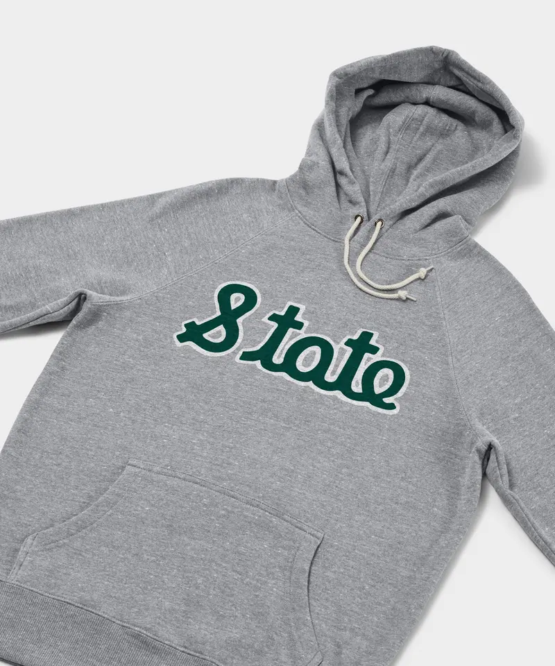 Michigan State Hoodie 2