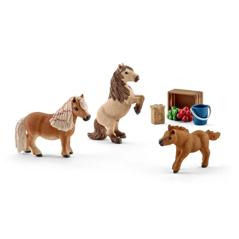 Miniature Shetland Pony Family 1