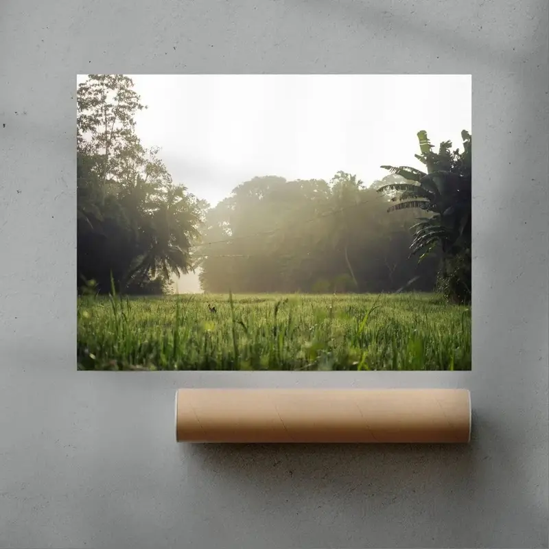 Morning In Countryside 3