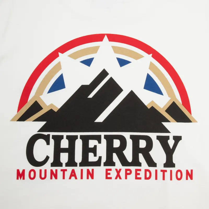 Mountain Expedition Boxy Pocket Tee (White) 4