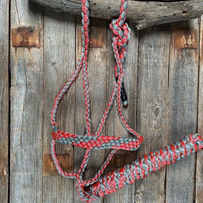 Mule Tape Halters - Two Tone Assorted Colors- 2