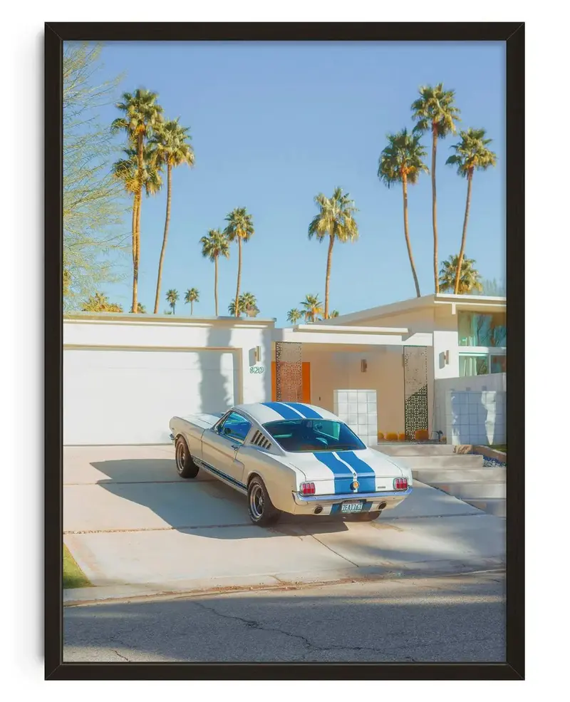 Mustang Paradise 1