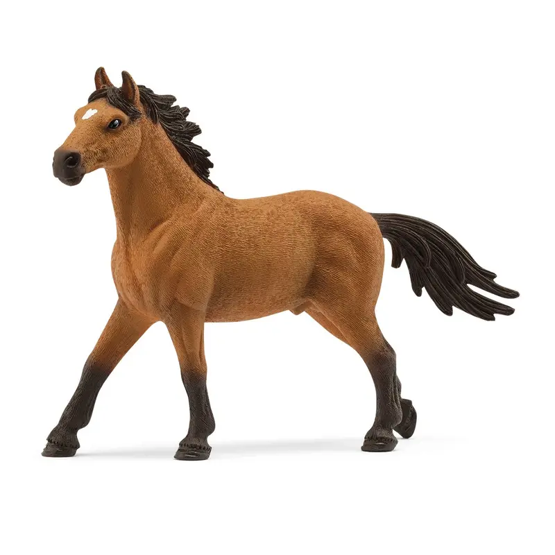 Mustang Stallion 1