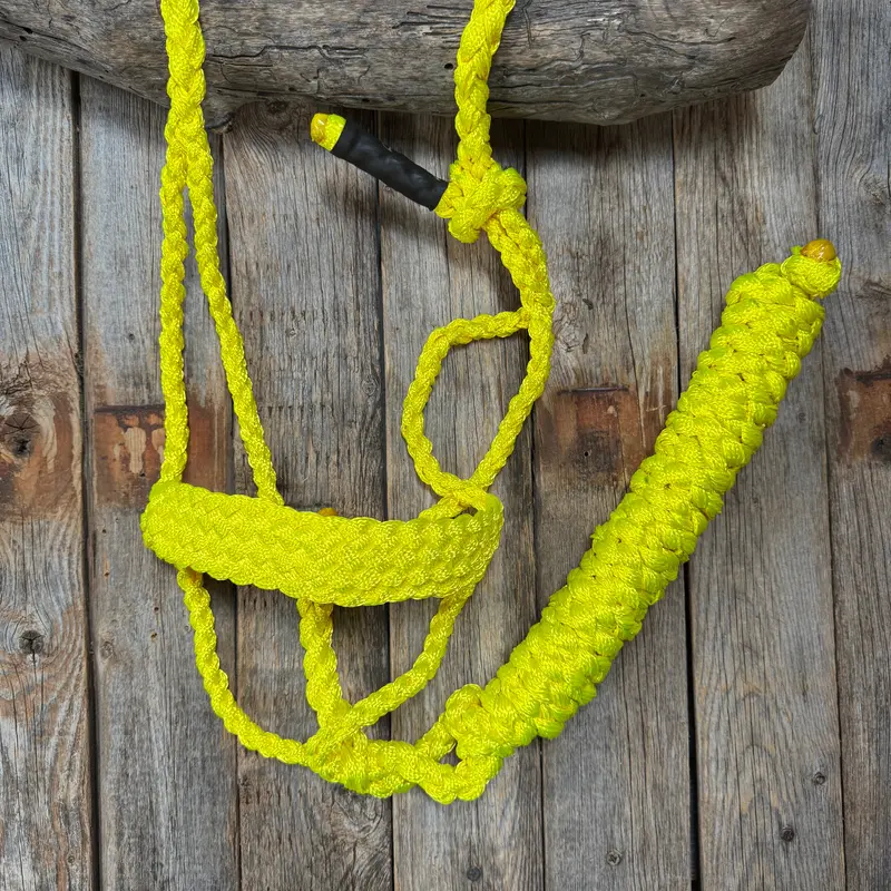 Neon Yellow Mule Tape Halter 1