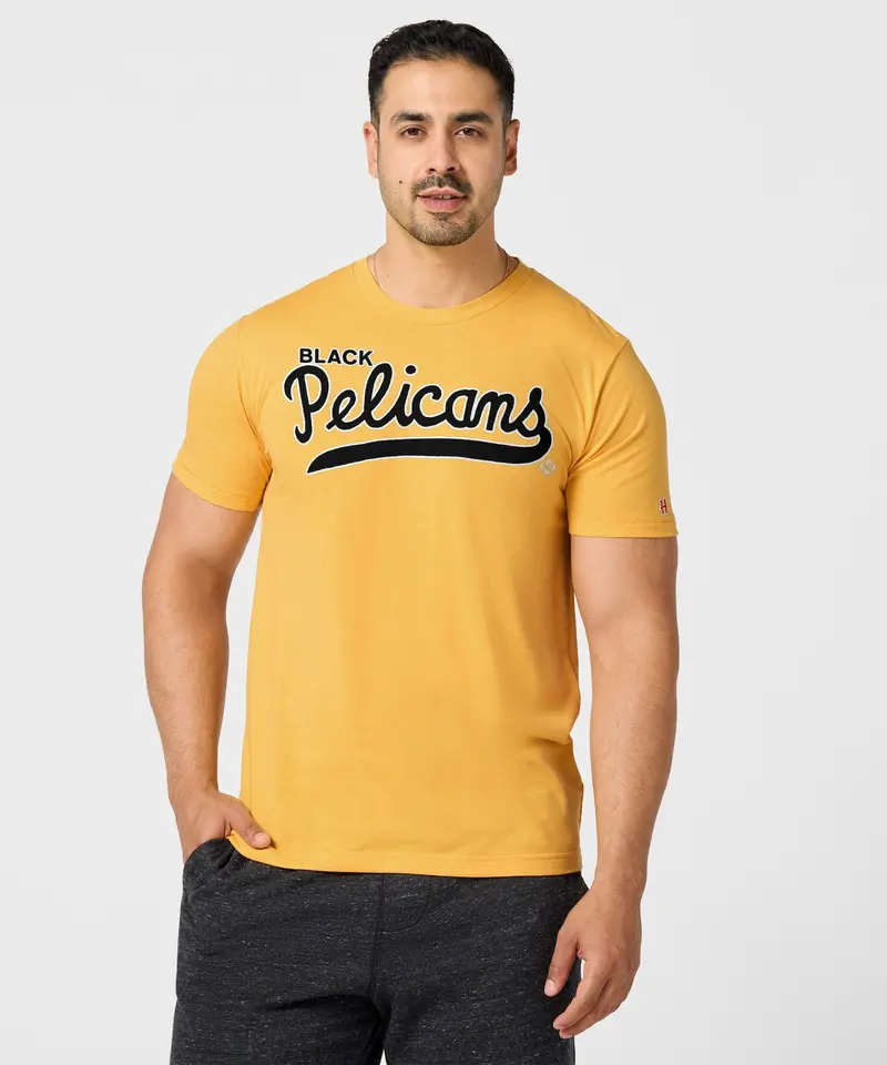 New Orleans Black Pelicans 3