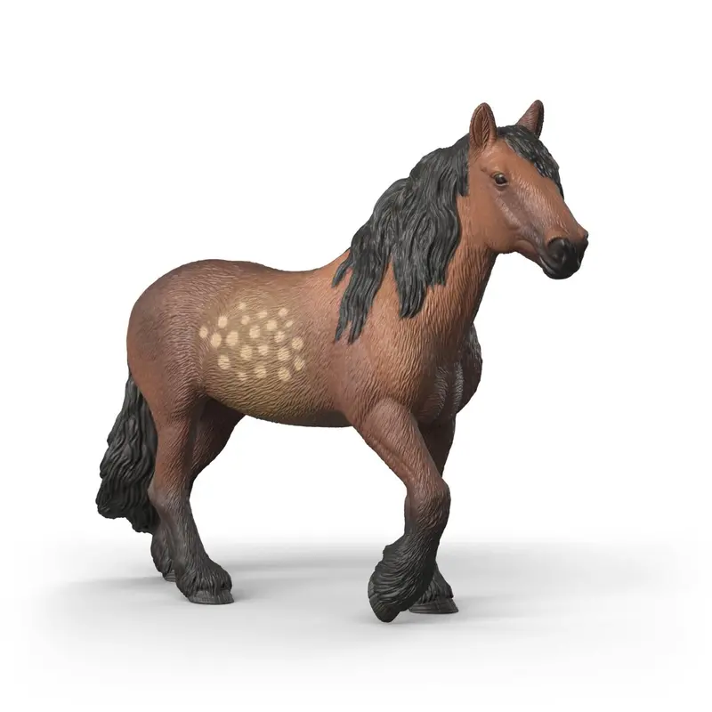 North Swedish Cold Blooded Mare 1