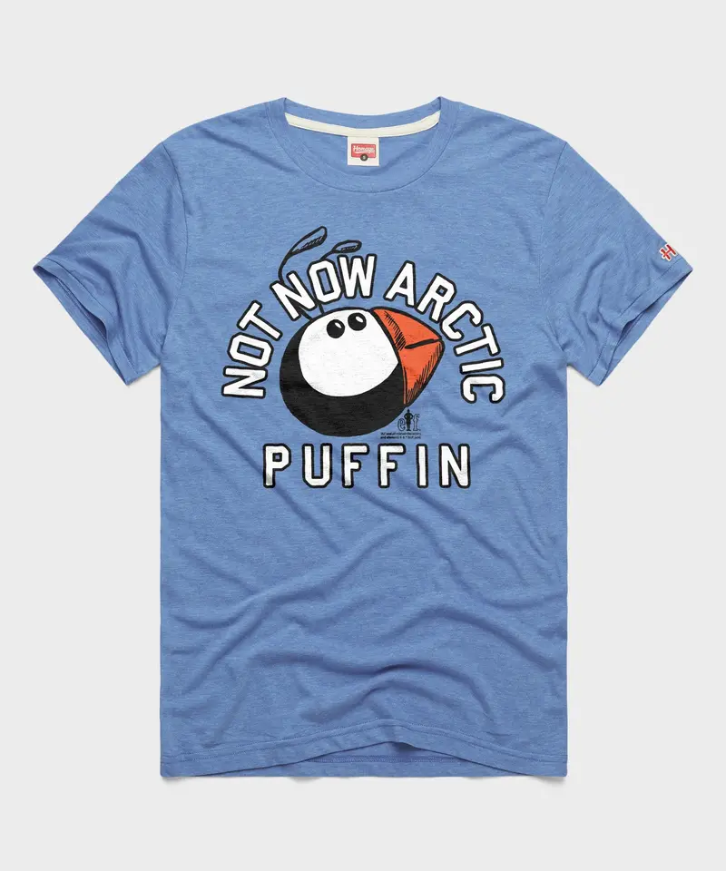 Not Now Arctic Puffin 1