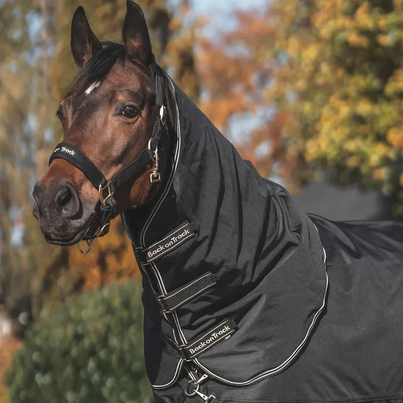 Obsidian Turnout Blanket With Neck Cover (Free Shipping In The Us!) 1
