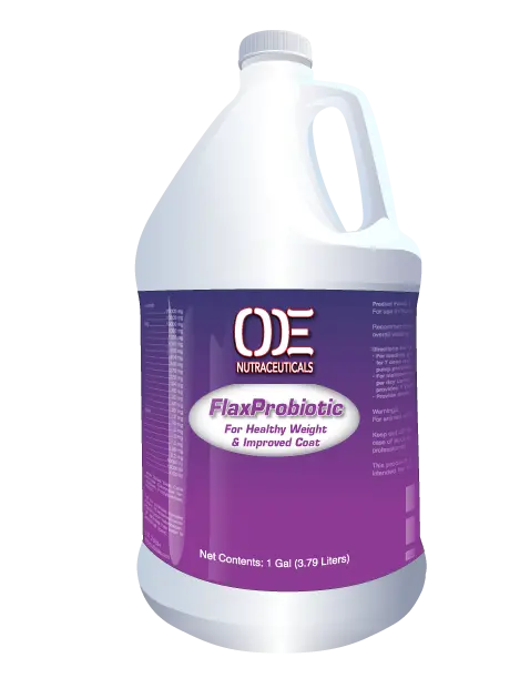 Oe Flax Probiotic 1