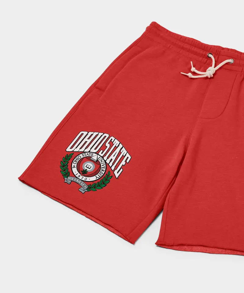 Ohio State Seal Bold Sweat Shorts 2