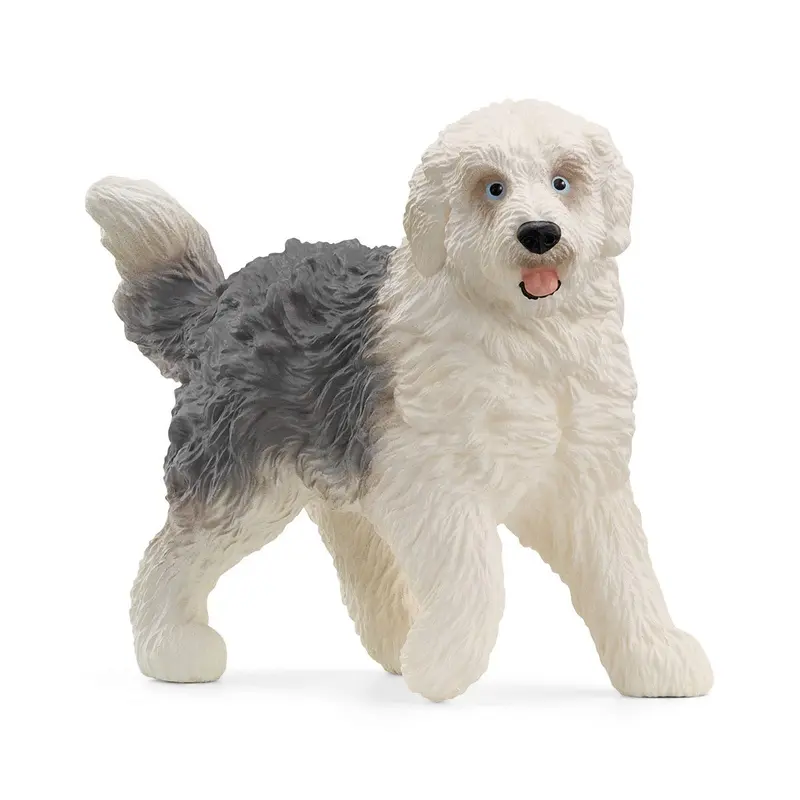 Old English Sheepdog 1