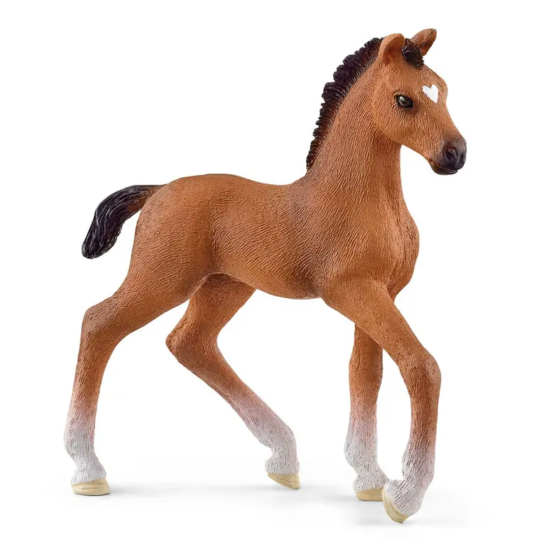 Oldenburger Foal 1