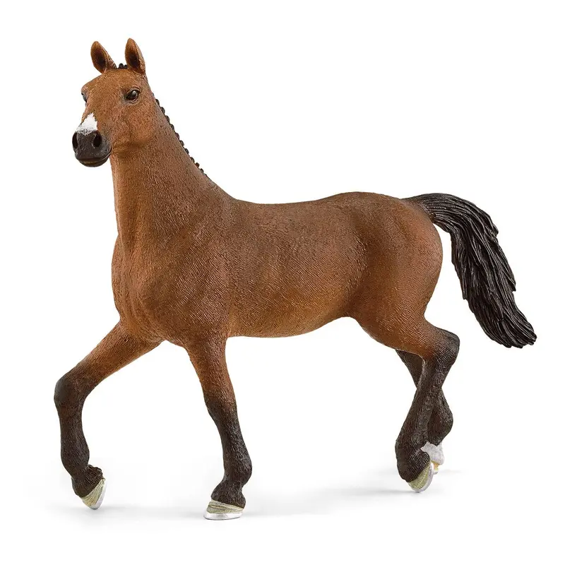 Oldenburger Mare 1