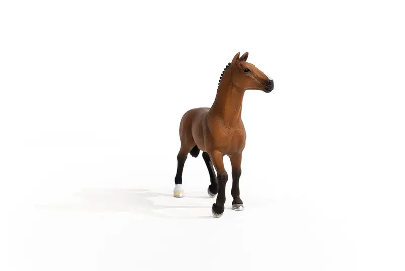 Oldenburger Mare 2