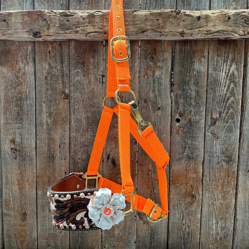 Orange Nylon Horse Halter – Bronc Noseband With Crystal Conchos Nh111 1