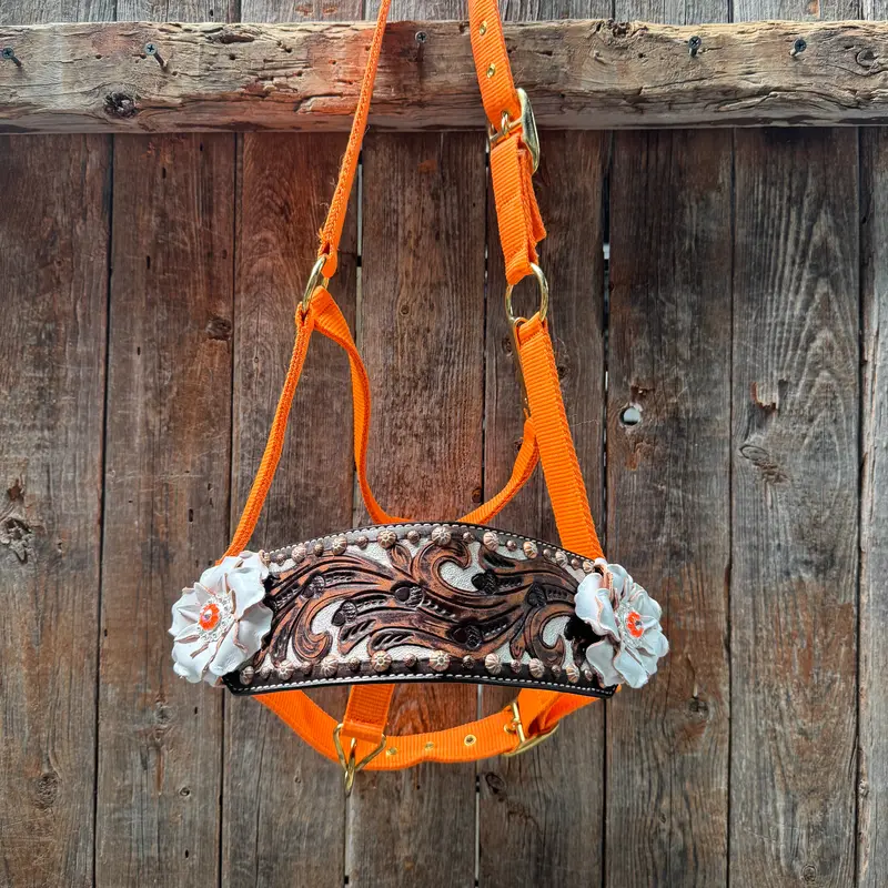 Orange Nylon Horse Halter – Bronc Noseband With Crystal Conchos Nh111 2