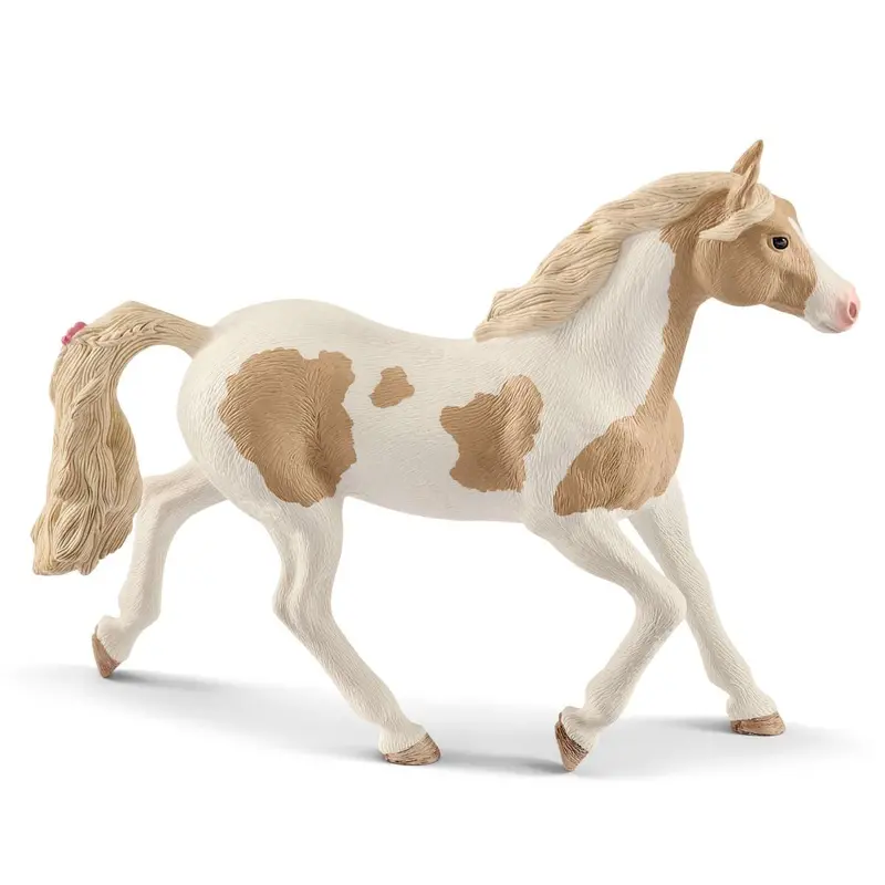 Paint Horse Mare 1