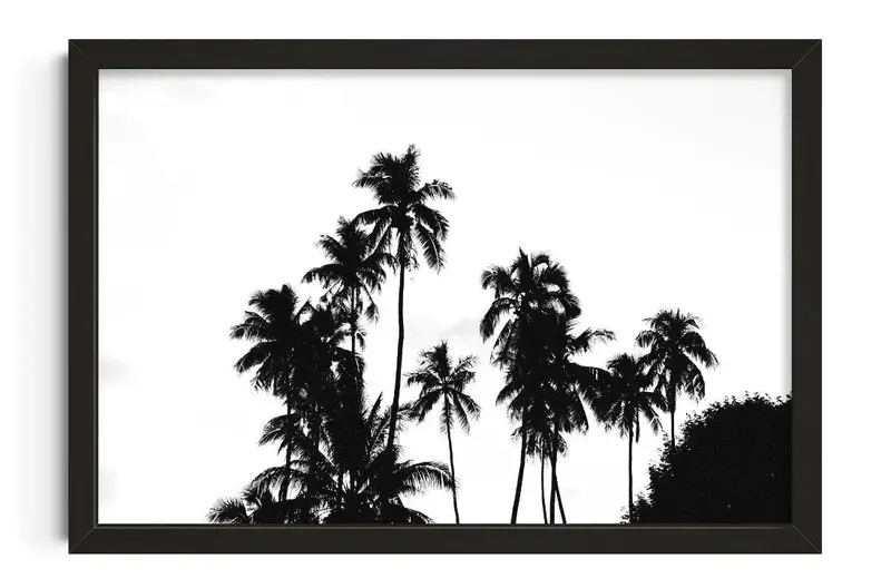 Palm Silhouettes 1