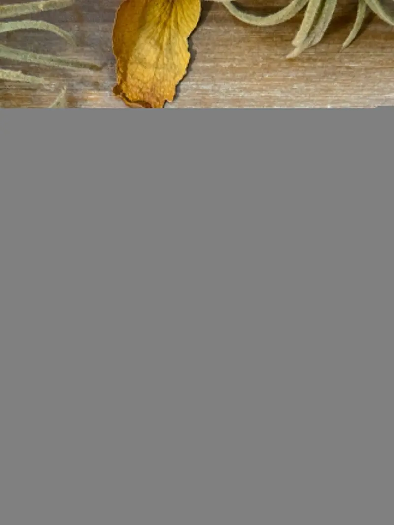 Palomino Sterling Silver Pendant – 2" X 1.25" – 8 Mm Bail 1