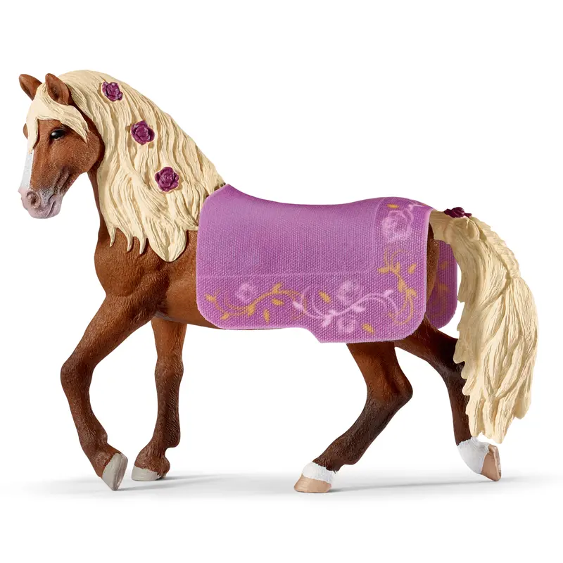 Paso Fino Stallion Horse Show 1