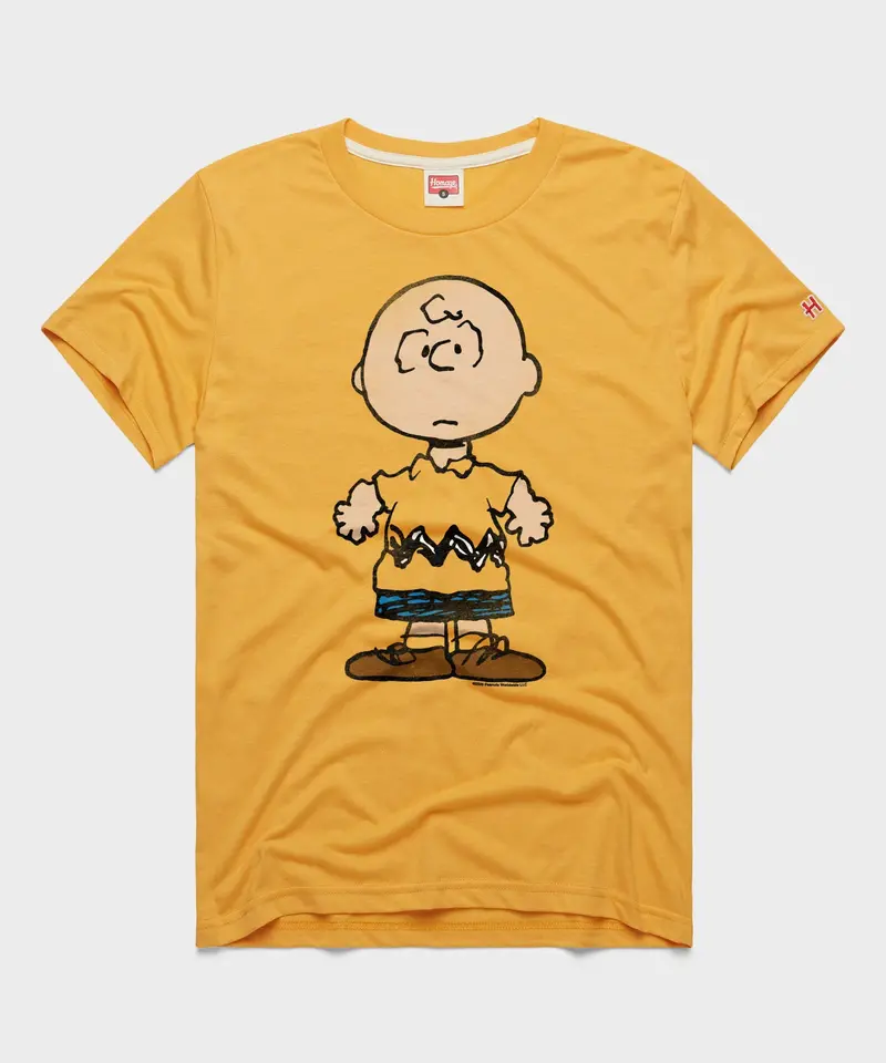 Peanuts Charlie Brown Character 1