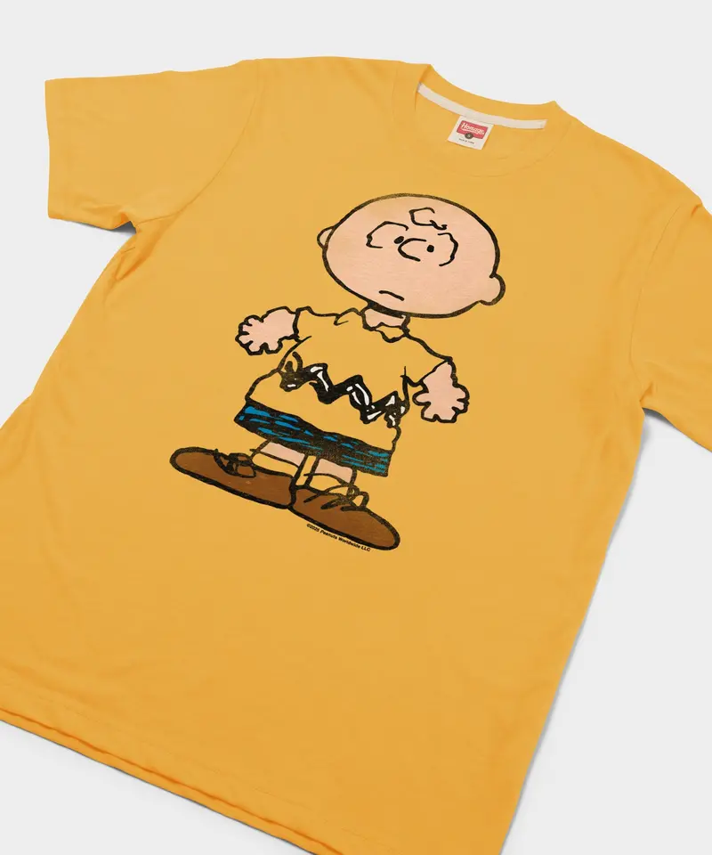 Peanuts Charlie Brown Character 2