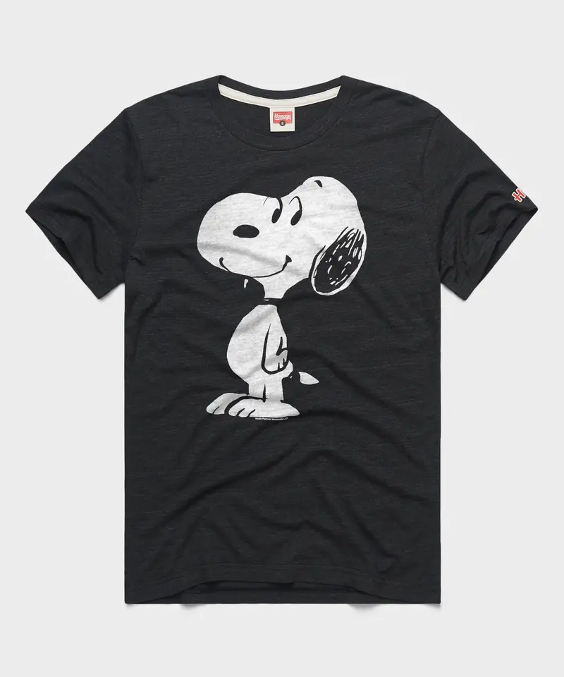 Peanuts Snoopy Character 1