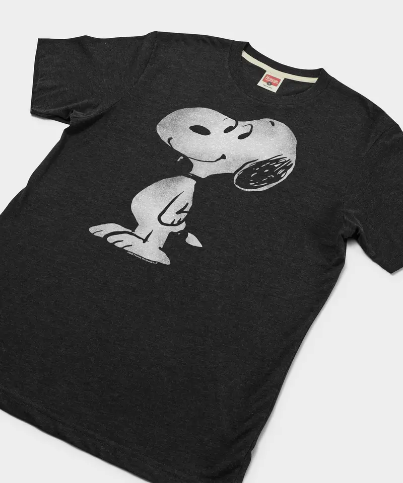 Peanuts Snoopy Character 2