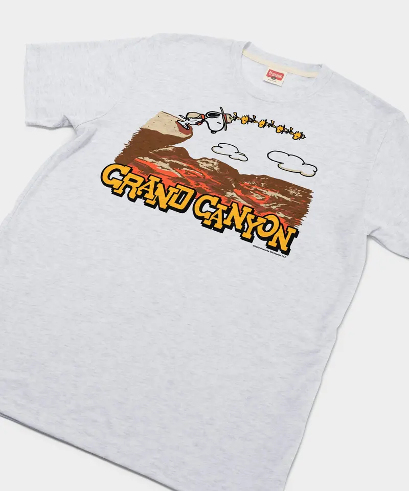 Peanuts Snoopy X Grand Canyon National Park 2